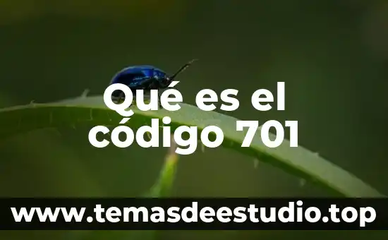 Que es el codigo 020 4 Qué es el código 701