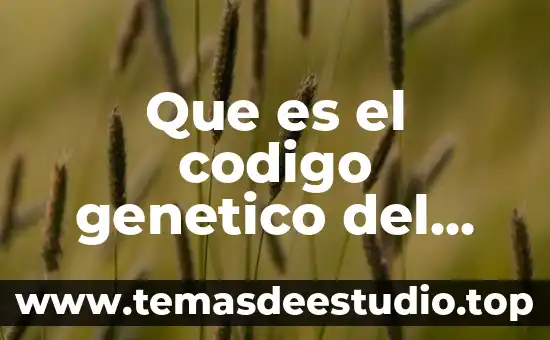Que es el diseño de genético de bebés 6 Que es el codigo genetico del arn