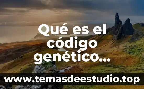 Que es el diseño de genético de bebés 5 Qué es el código genético universal