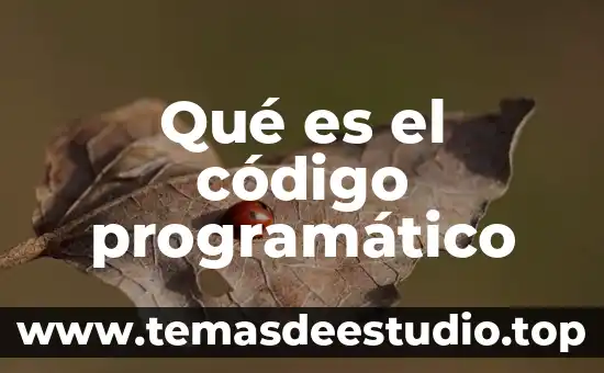 Que es presicion de movimiento en los niños 3 Qué es el código programático