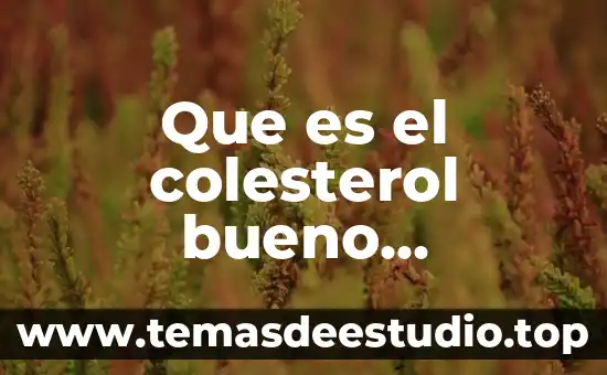 Qué es una planta de tratamiento de aguas negras 5 Que es el colesterol bueno consecuencias y tratamiento