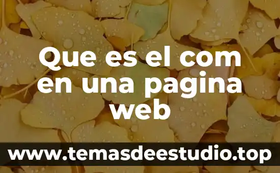 Qué es base de datos para página web 5 Que es el com en una pagina web