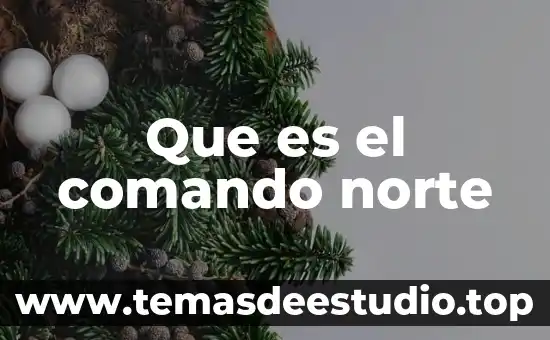 Que es el comando norte