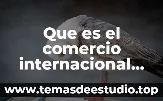 Que es una meta en economia 4 Que es el comercio internacional en la economia mundial