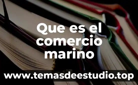 Qué es una comunidad en comercio internacional 7 Que es el comercio marino