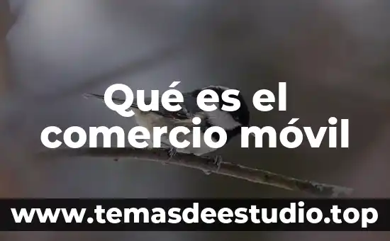 Qué es lada en número de teléfono móvil 6 Qué es el comercio móvil