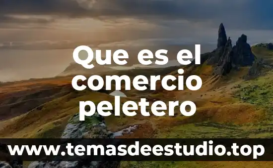 Qué es una comunidad en comercio internacional 3 Que es el comercio peletero