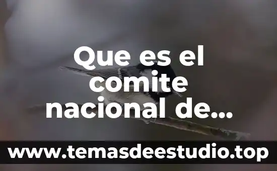 Qué es una empresa nacional y extranjera 4 Que es el comite nacional de emergencias
