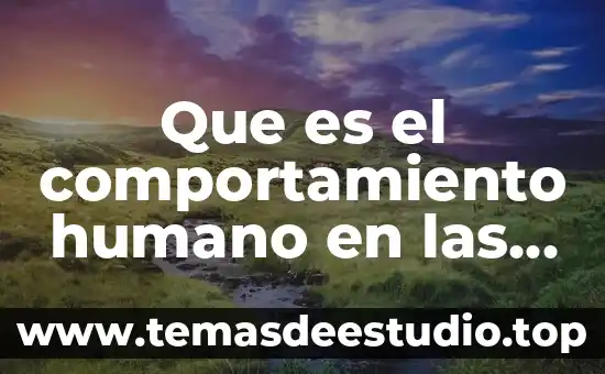 Que es el ser humano segun rene descartes 7 Que es el comportamiento humano en las organizaciones