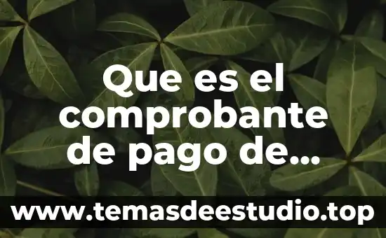 Que es el comprobante de pago de derechos en original