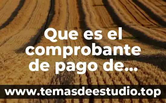 Que es el comprobante de pago de derechos ran