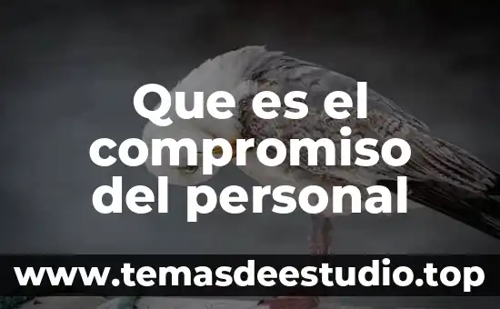 Que es la identidad personal y familiar 4 Que es el compromiso del personal