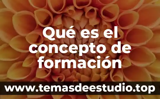 Qué es el ser y el no ser en filosofía 4 Qué es el concepto de formación