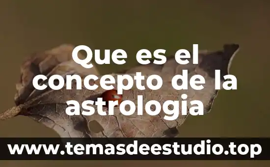 Que es la escala de valores concepto 4 Que es el concepto de la astrologia