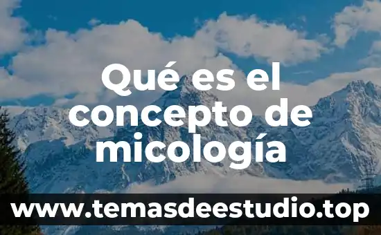 Que es pedicure concepto 6 Qué es el concepto de micología