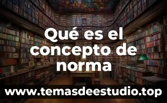 Que es un concepto rector 5 Qué es el concepto de norma