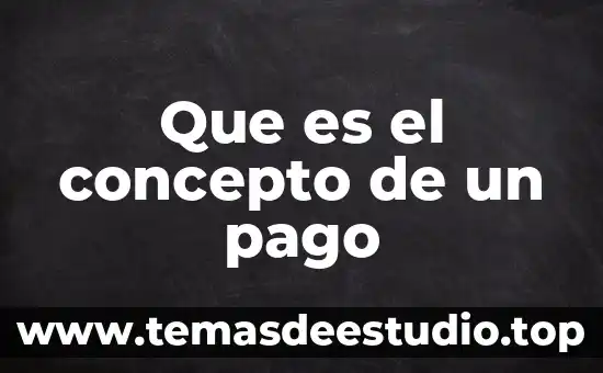 Que es el concepto de un pago