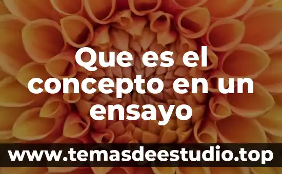 Que es el concepto en un ensayo