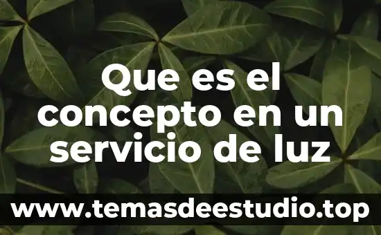 Servicio autoservicio que es 4 Que es el concepto en un servicio de luz