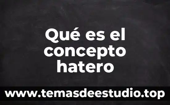 Qué es el concepto hatero