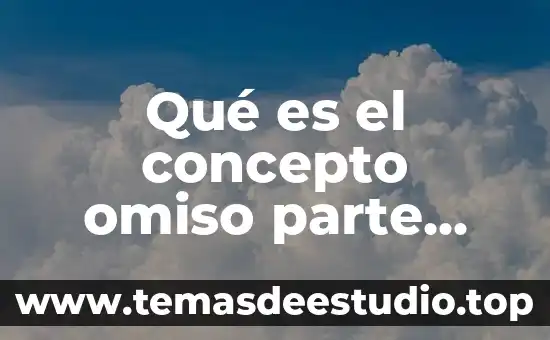 Qué es el concepto omiso parte contable