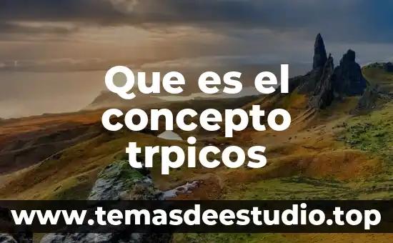 Que es dadaismo concepto 3 Que es el concepto trpicos