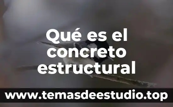 Qué es el concreto estructural