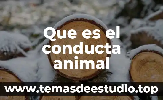 Qué es zoología animal 5 Que es el conducta animal