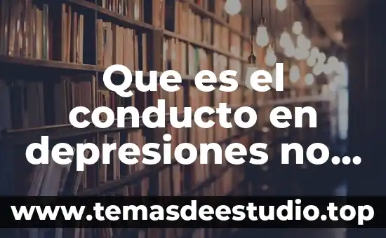 Afirmación que se refiere a lo que es 7 Que es el conducto en depresiones no articuladas