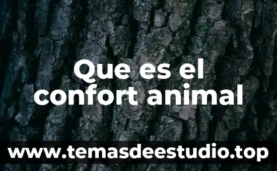 Que es confort en la arquitectura 4 Que es el confort animal