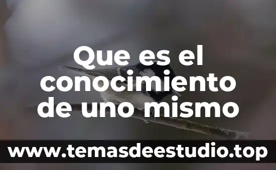 Que es el conocimiento de uno mismo