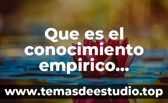 Que es el conocimiento empirico para niños 3 Que es el conocimiento empirico resumen
