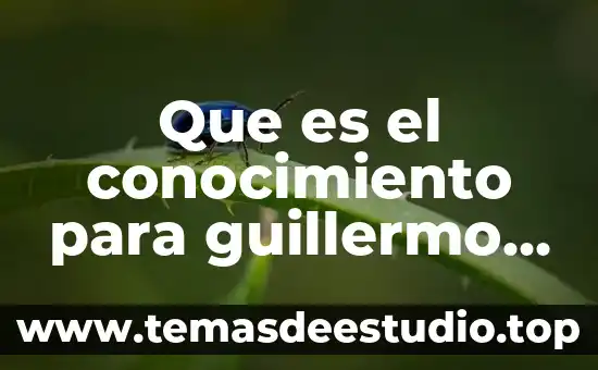Que es contruccion de conocimiento 7 Que es el conocimiento para guillermo de ockham
