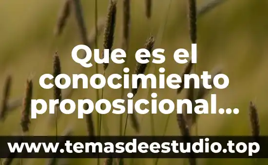 Que es el sentido de la lógica proposicional 6 Que es el conocimiento proposicional diccionario filosofico
