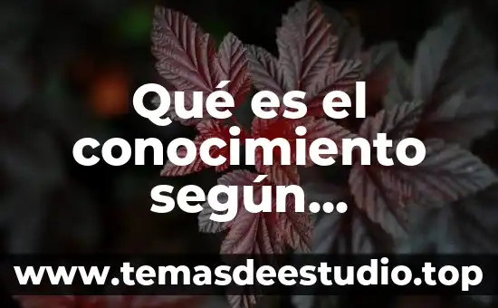 Qué es el conocimiento según davenport