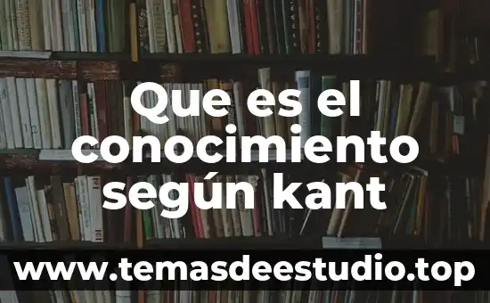 Que es la internacionalización en la difusión de conocimiento científico 7 Que es el conocimiento según kant