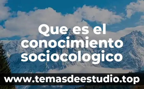 Que es el conocimiento para guillermo de ockham 6 Que es el conocimiento sociocologico