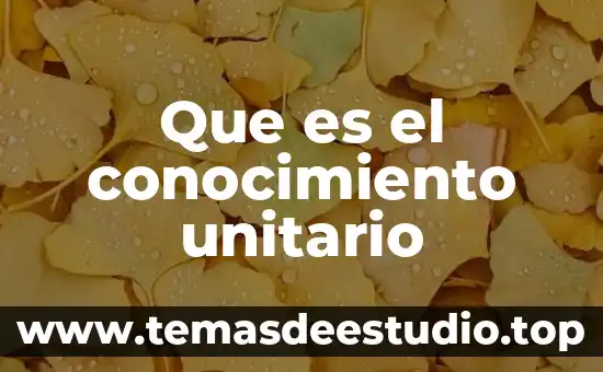 Que es el conocimiento unitario