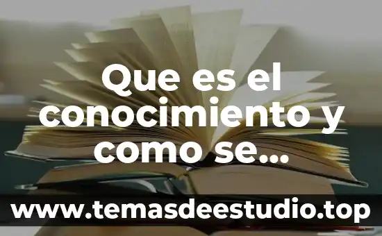 Que es la internacionalización en la difusión de conocimiento científico 4 Que es el conocimiento y como se origina