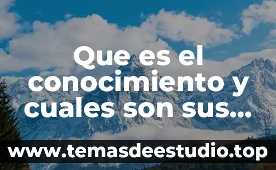 Que es el signo linguistico y cuales son sus caracteristicas 7 Que es el conocimiento y cuales son sus clases
