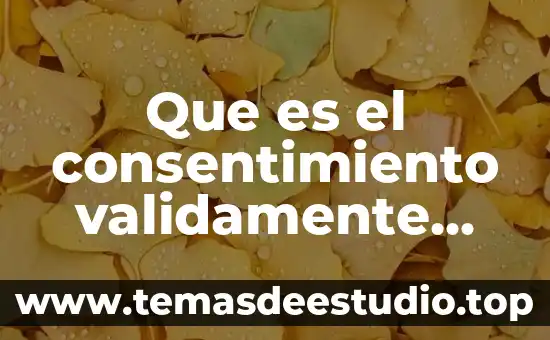Que es asentimiento informado 4 Que es el consentimiento validamente informado ejemplo