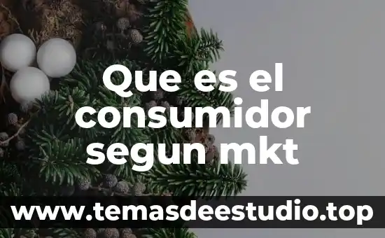 Que es el consumidor segun mkt