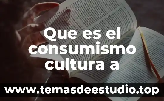 Que es el consumismo cultura a