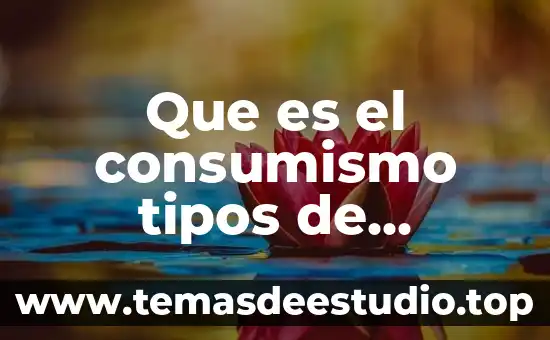 Que es el consumismo tipos de consumismo y caracteristicas