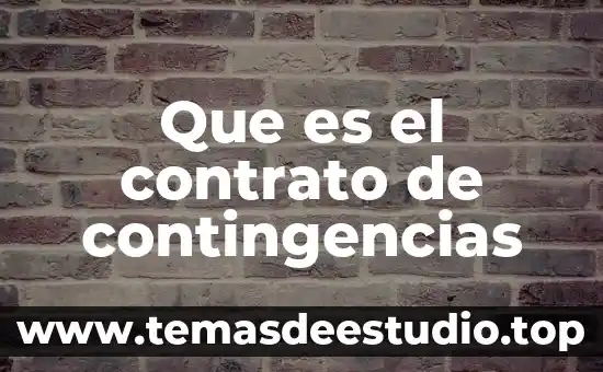 Que es el principio de ejecución del contrato 5 Que es el contrato de contingencias