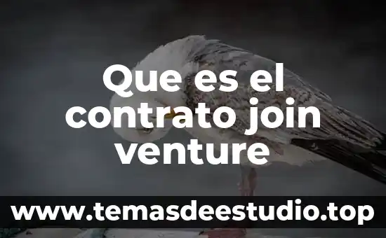Que es un vicio oculto en un contrato 3 Que es el contrato join venture
