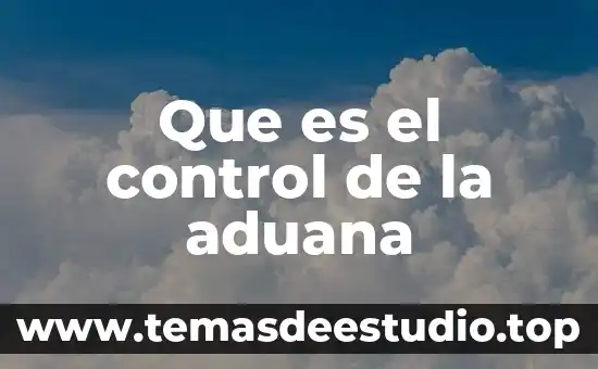 Por que es importante conocer el significado de la aduana 5 Que es el control de la aduana
