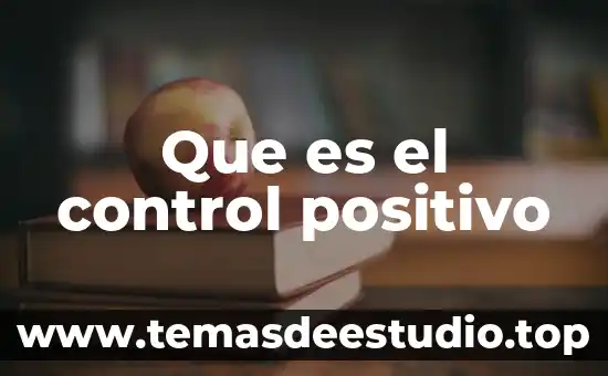 Que es ser sujeto politico 4 Que es el control positivo