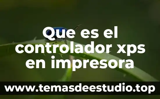 Que es c ink en una impresora 3 Que es el controlador xps en impresora