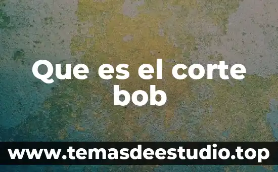 Qué es las funciones del lenguaje lógica 5 Que es el corte bob